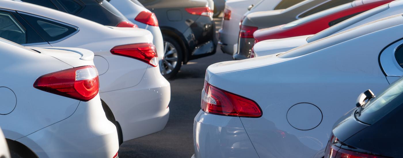 Two rows of used cars are shown at a used car dealer.