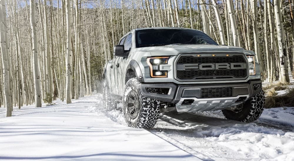 A silver 2017 Ford F-150 Raptor is shown driving on a snowy path in the woods.