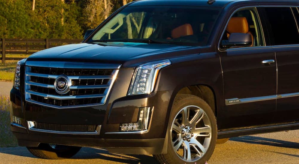 A grey 2015 Cadillac Escalade is shown after leaving a used car lot near Grand Ledge.